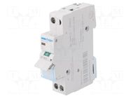 Switch-disconnector; Poles: 1; for DIN rail mounting; 25A; 230VAC HAGER