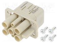 Connector: HDC; module; female; C146,heavy|mate Q; PIN: 6(4+2) AMPHENOL