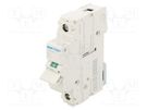 Switch-disconnector; Poles: 1; for DIN rail mounting; 63A; 230VAC HAGER