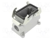 Enclosure: for HDC connectors; C146; size E10; with double latch AMPHENOL