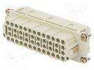 Connector: HDC; contact insert; female; C146,heavy|mate EE; 46+PE AMPHENOL