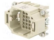 Connector: HDC; contact insert; male; 10A; 250V; PIN: 24; 24+PE AMPHENOL