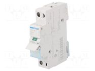 Switch-disconnector; Poles: 1; for DIN rail mounting; 16A; 230VAC HAGER