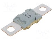 Fuse: fuse; 300A; 32VDC; automotive; 67.3mm; M8 screw; BF2; copper LITTELFUSE