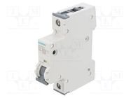 Circuit breaker; 230/400VAC; Inom: 25A; Poles: 1; Charact: C; 6kA SIEMENS