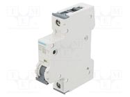 Circuit breaker; 230/400VAC; Inom: 25A; Poles: 1; Charact: B; 6kA SIEMENS