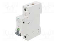 Circuit breaker; 230VAC; Inom: 20A; Poles: 1; Charact: B; 6kA; IP20 SIEMENS