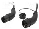 Cable: eMobility; 1x0.5mm2,3x6mm2; 250V; 7.2kW; IP44; 5m; 32A HARTING