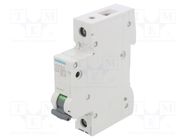 Circuit breaker; 230/400VAC; Inom: 25A; Poles: 1; Charact: B; 10kA SIEMENS