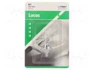 Filament lamp: automotive; P14,5s; transparent; 24V; 70W; LLB LUCAS