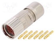 Connector: M23; plug; PIN: 6; female; crimped; for cable; straight AMPHENOL