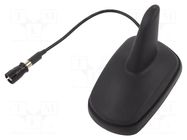 Antenna; SHARK; AM,FM; RAKU II female; black; 12VDC; RG174 4CARMEDIA