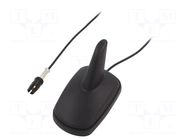 Antenna; automotive,SHARK; AM,FM; RAKU I (Coma); black; 12VDC 4CARMEDIA