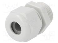 Cable gland; PG11; IP68; polyamide; light grey; UL94V-0; HSK-K HUMMEL