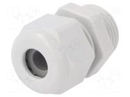 Cable gland; PG11; IP54; polyamide; light grey; UL94V-0; HSK-K HUMMEL