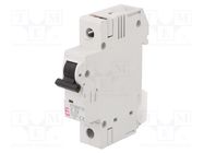 Circuit breaker; 230/400VAC; Inom: 32A; Poles: 1; Charact: C; 10kA ETI POLAM