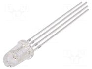 LED; RGB; 5mm; 8°; Front: convex; 2.1÷2.6/3.1÷3.6/3.1÷3.6VDC; round OPTOSUPPLY