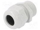 Cable gland; with long thread; PG21; IP68; polyamide; light grey OBO BETTERMANN