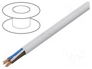 Wire; BiTprotect (St); 10x0.5mm; round; wire; Cu; PVC; white BITNER