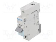 Circuit breaker; 230/400VAC; Inom: 25A; Poles: 1; Charact: B; 6kA 