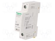 Surge arrester; Type 2; Poles: 1; for DIN rail mounting; -25÷60°C SCHNEIDER ELECTRIC