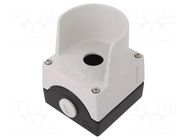 Enclosure: for remote controller; IP66,IP67,IP69K; X: 85mm; metal EAO