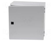 Enclosure: wall mounting; X: 300mm; Y: 300mm; Z: 120mm; E-BOX KX RITTAL