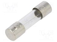Fuse: fuse; time-lag; 4A; 250VAC; cylindrical,glass; 5x20mm; brass LITTELFUSE