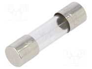 Fuse: fuse; time-lag; 1.25A; 250VAC; cylindrical,glass; 5x20mm LITTELFUSE