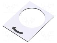 Label; white; Button marking: arrow; control cassette; 30x40mm SCHNEIDER ELECTRIC