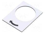 Label; white; Button marking: arrow; control cassette; 30x40mm SCHNEIDER ELECTRIC