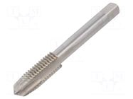 Tap; M10; 1.5; L: 70mm; Holder: machine; 5.5mm; ISO2/6H VÖLKEL