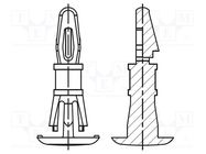 Assembly stud; polyamide 66; L: 7.9mm; latch/latch; natural 