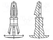 Assembly stud; polyamide 66; L: 6.4mm; latch/latch; natural 