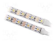 Programmable LED tape; RGBW; 5050; LED/m: 60; 10mm; white PCB; IP20 IPIXEL LED