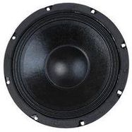 8" Woofer with Paper Cone and Cloth Surround - 100W RMS at 8 ohm