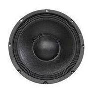 10" Woofer with Paper Cone and Cloth Surround - 125W RMS at 8 ohm