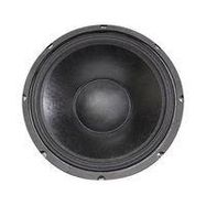 12" Woofer with Paper Cone and Cloth Surround - 175W RMS at 8 ohm