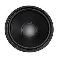 10" Woofer with Poly Cone and Rubber Surround 100W RMS at 8 ohm