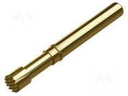 Test needle; Spring compression: 3.4mm; 5mm; 4A,5.5A; steel; Ø: 3mm FIXTEST