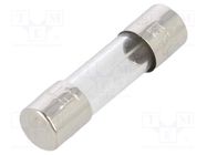 Fuse: fuse; time-lag; 10A; 250VAC; cylindrical,glass; 5x20mm; brass 