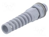 Cable gland; IP68; polyamide; dark grey; push-in; SKINTOP® LAPP