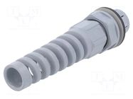 Cable gland; M25; IP68; polyamide; dark grey; SKINTOP® LAPP