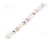 LED tape; white cold; 2835; LED/m: 120; 8mm; IP20; 120°; 9.6W/m LEDDEX