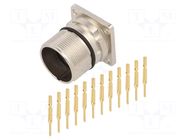 Connector: M23; socket; PIN: 12; male; crimped; straight; IP67; 10A AMPHENOL