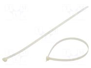 Cable tie; L: 650mm; W: 12.5mm; natural; polyamide; 1112N FIX&FASTEN