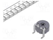 Potentiometer: mounting; single turn,horizontal; 100kΩ; 100mW PIHER