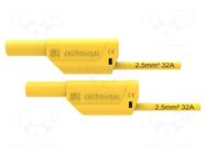 Test lead; 32A; banana plug 4mm,both sides; Urated: 1kV; Len: 1m SCHÜTZINGER