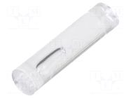 Fiber for LED; Ø5mm; L: 21.4mm; round; straight MASZCZYK