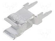 Fuse clips; THT; 5x20mm,5x25mm,5x30mm; 6.3A; Pitch: 5.6mm; silver LITTELFUSE